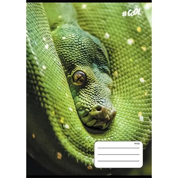 Füzet, tűzött, A5, vonalas, 32 lap, 1. osztály, COOL BY VICTORIA, &quot;Animals&quot;, 14-32